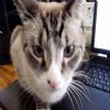 when you get off my laptop.